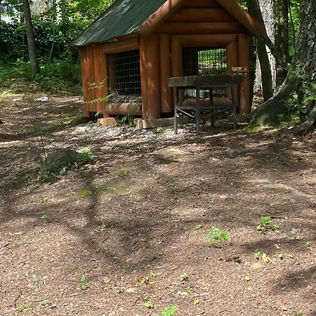 Divcigora Apartman *