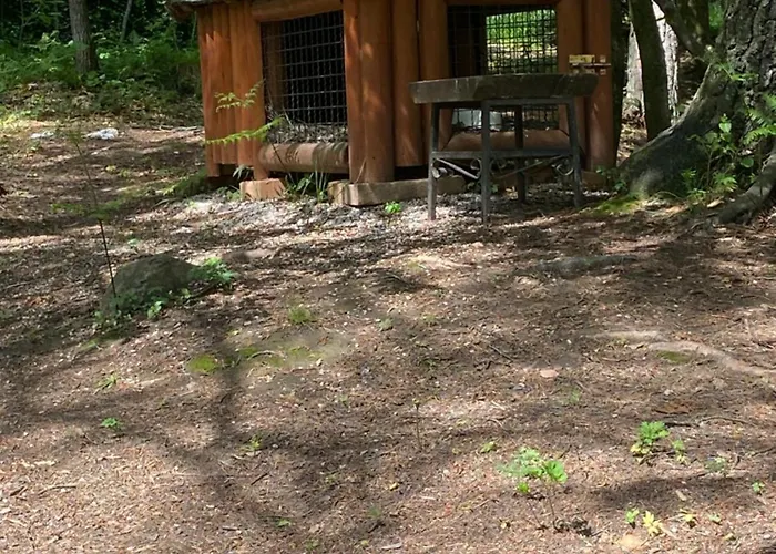 Divcigora アパート *